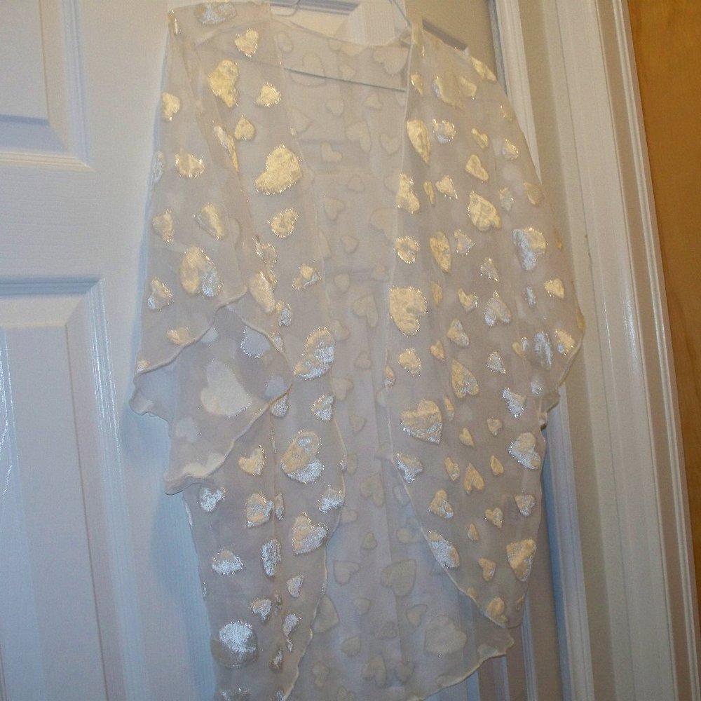 Pretty Shawl cover up negligee